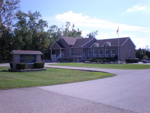 Brookville Veterinary Clinic — veterinary care in Campbellville (photo 1)