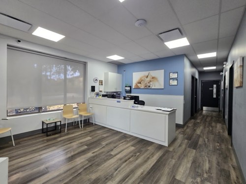 Burlington Veterinary Emergency & Referral Hospital — veterinary care in Burlington (photo 1)
