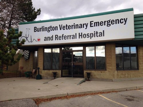 Burlington Veterinary Emergency & Referral Hospital — veterinary care in Burlington (photo 2)