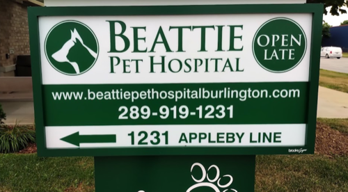 Beattie Pet Hospital - Burlington — veterinary care in Burlington (photo 1)