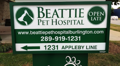 Beattie Pet Hospital - Burlington — veterinary care in Burlington